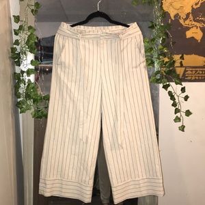 Banana Republic Wide Leg Cropped Pants